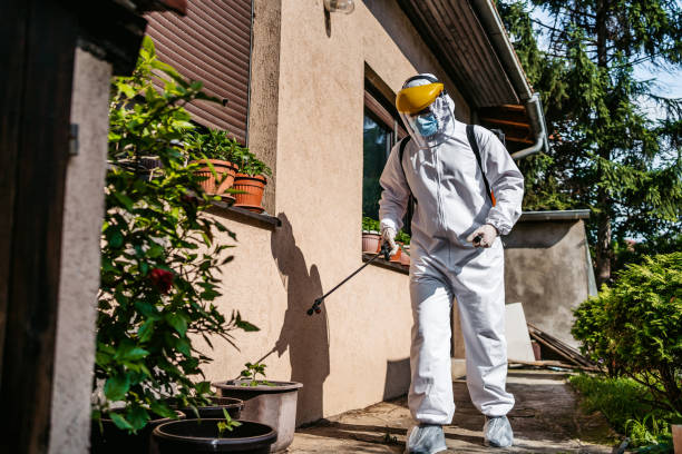 Pest Control for Restaurants in Mecca, CA